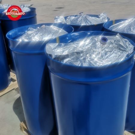 Paste de tomate 100% natural de tambores hecho de materias primas de ruptura en frío con Brix 36-38% conforme con las normas HACCP