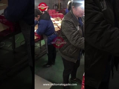 La pasta de tomate enlatada está bajo control de calidad