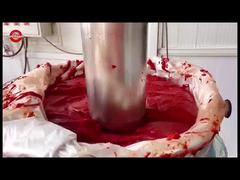 Pesta de tomate en bolsas de pie